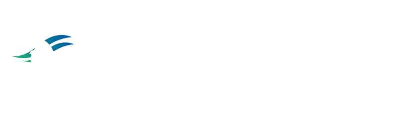 North N Lights