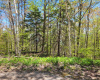Harkins road,Dyers bay,Land,Harkins road,1030