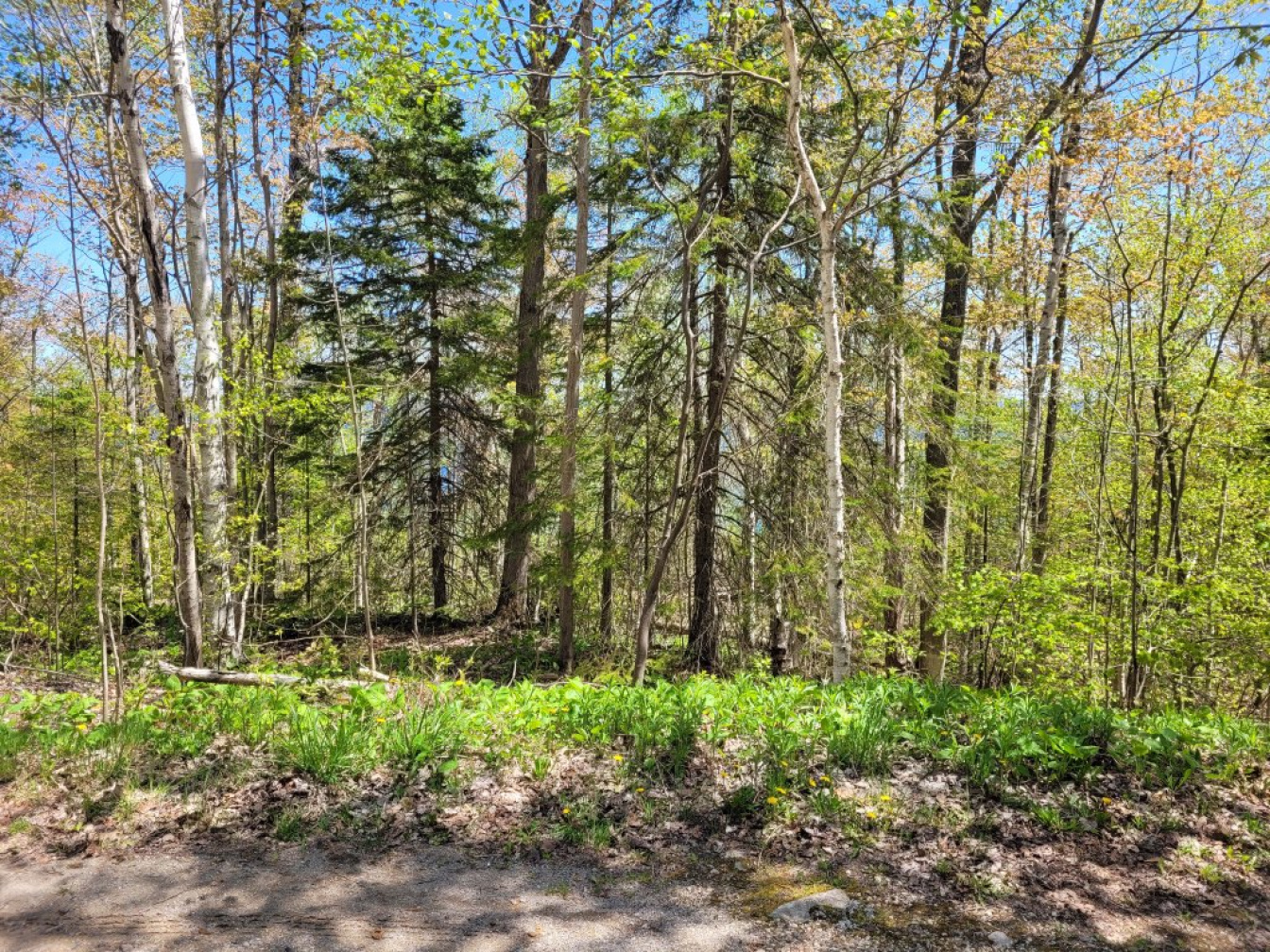Harkins road,Dyers bay,Land,Harkins road,1030