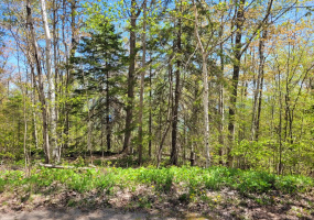 Harkins road,Dyers bay,Land,Harkins road,1030